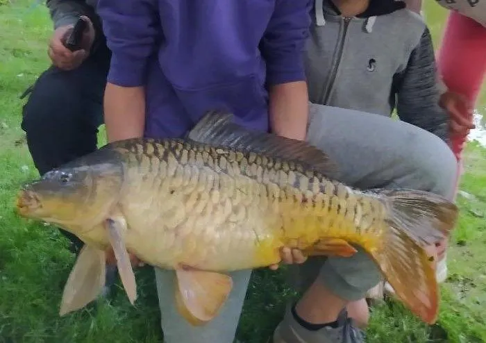 度假居 Le Moulin De Gratte Sac Voutre