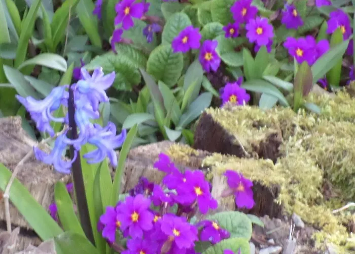 度假居 Le Moulin De Gratte Sac *