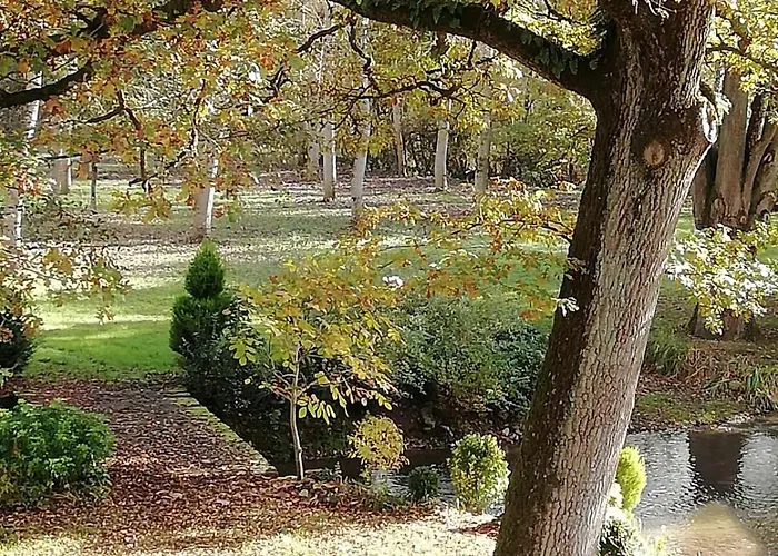 Le Moulin De Gratte Sac * Voutre